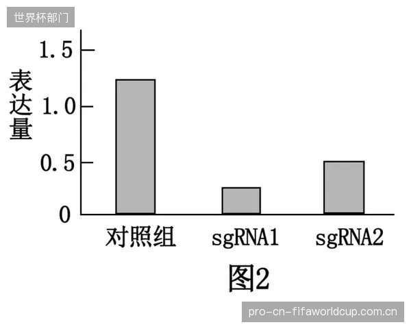 未来五年，随着基因编辑技术成本下降，关于其在体育选材领域应用的伦理辩论将进入白热化阶段